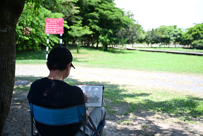 Z9+663梅雨季拍燕子，介紹落日灣、右岸濕地、鵬村濕地和鳥仔咖。加映Z6III拍燕子及崁頂生態公園。