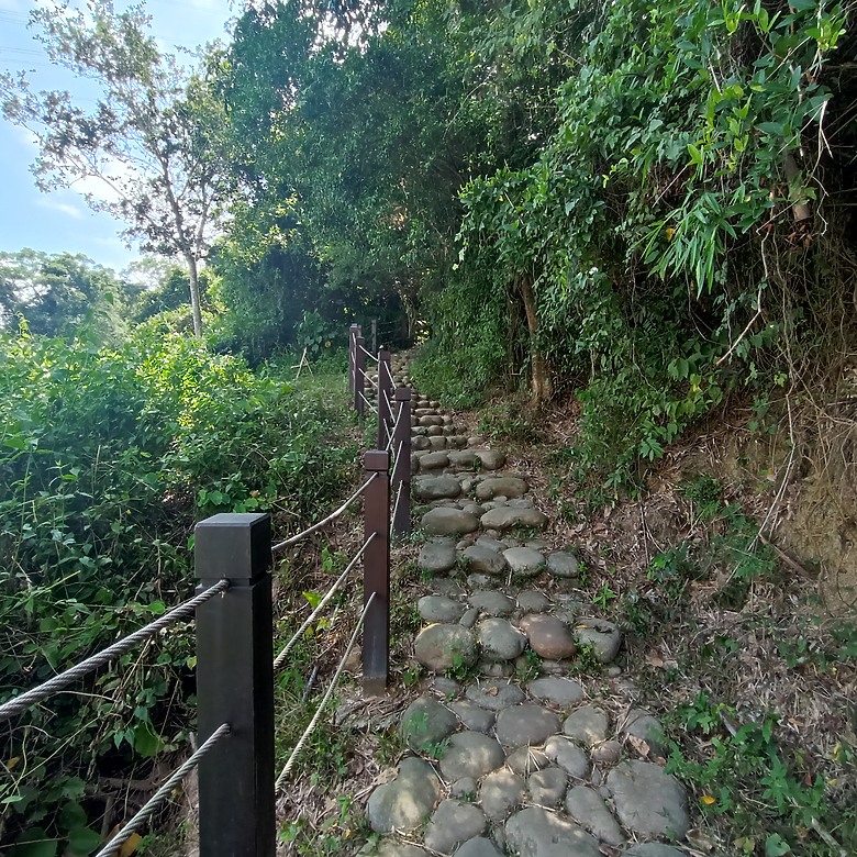 點我看大圖 豐原公老坪蜈蚣崎登山步道,舒適遼闊低難度的登山步道