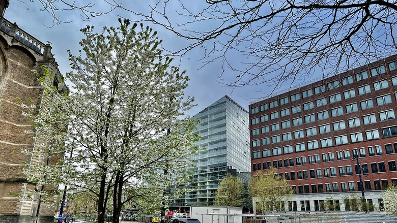 113年4月9日(星期二)鹿特丹景點住宿晚餐