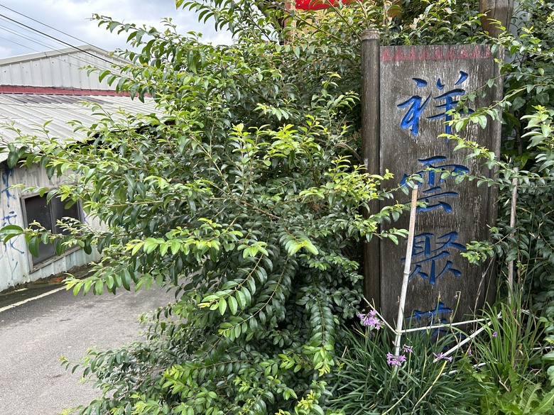 晨 騎 梨 山 ( 上 集 ) 發 現 梨 山