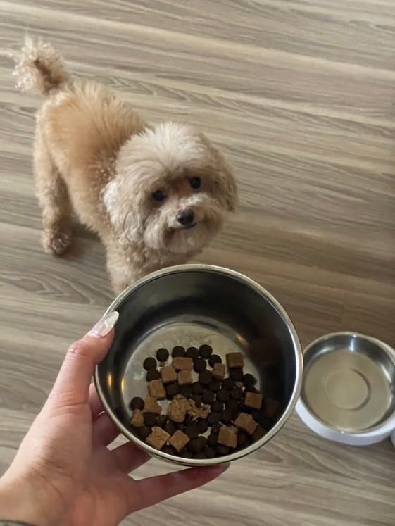 喜樂寵宴 極寵宴保健凍乾飼料心得分享