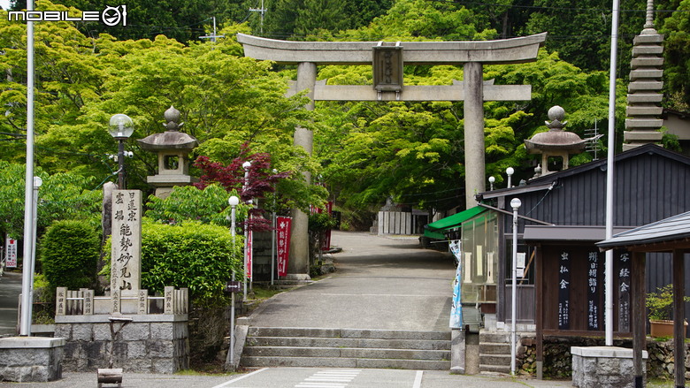 ＜日本＞意料之外的簡單日本大阪騎車一日遊