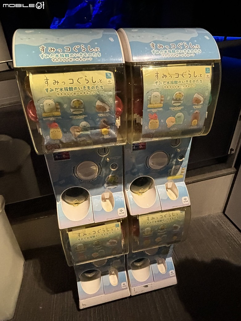 點我看大圖 東京之旅|東京晴空塔下的神祕的海洋奇妙冒險:墨田水族館一遊