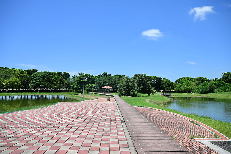 Z9+663梅雨季拍燕子，介紹落日灣、右岸濕地、鵬村濕地和鳥仔咖。加映Z6III拍燕子及崁頂生態公園。