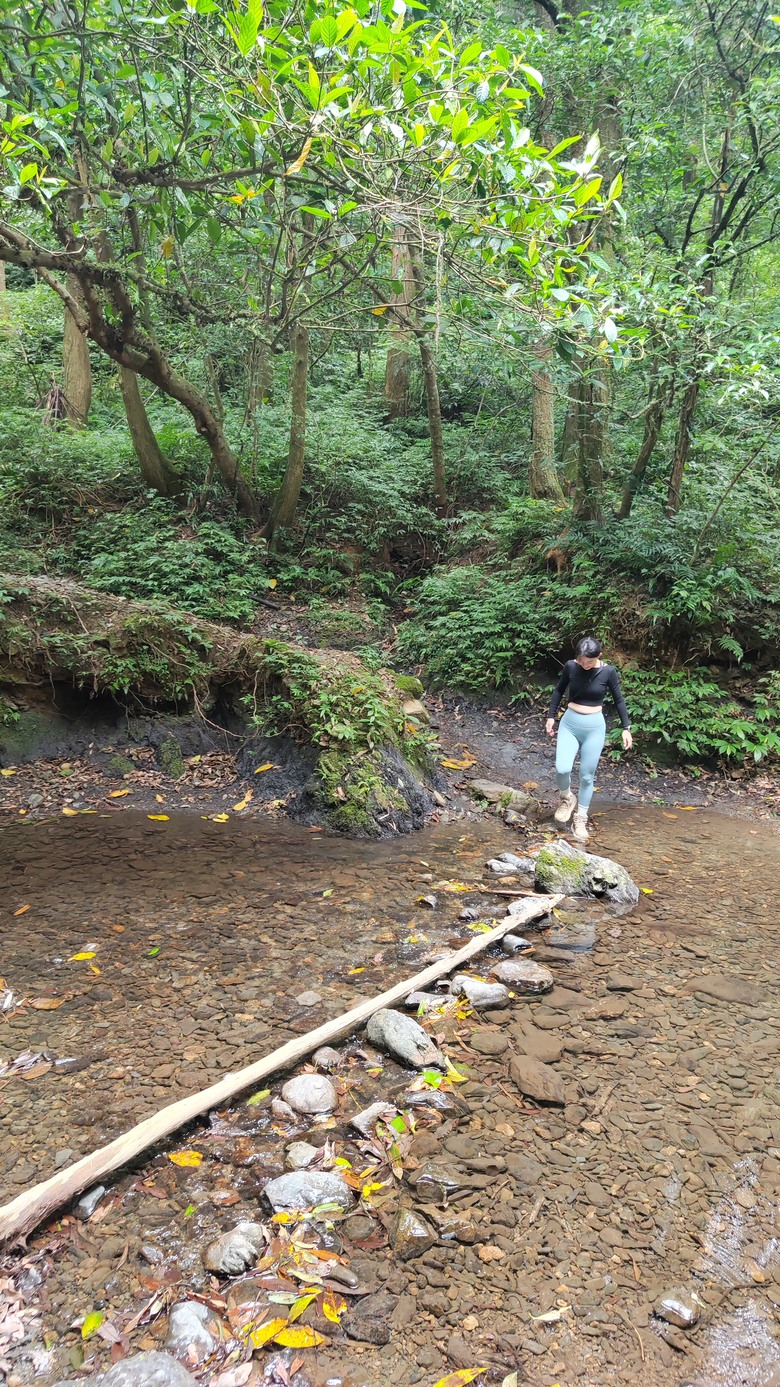 宜蘭頭城 | 最高寺廟 | 海景第一排 | 太和宮金殿