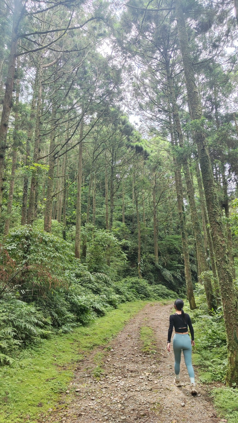 宜蘭頭城 | 最高寺廟 | 海景第一排 | 太和宮金殿