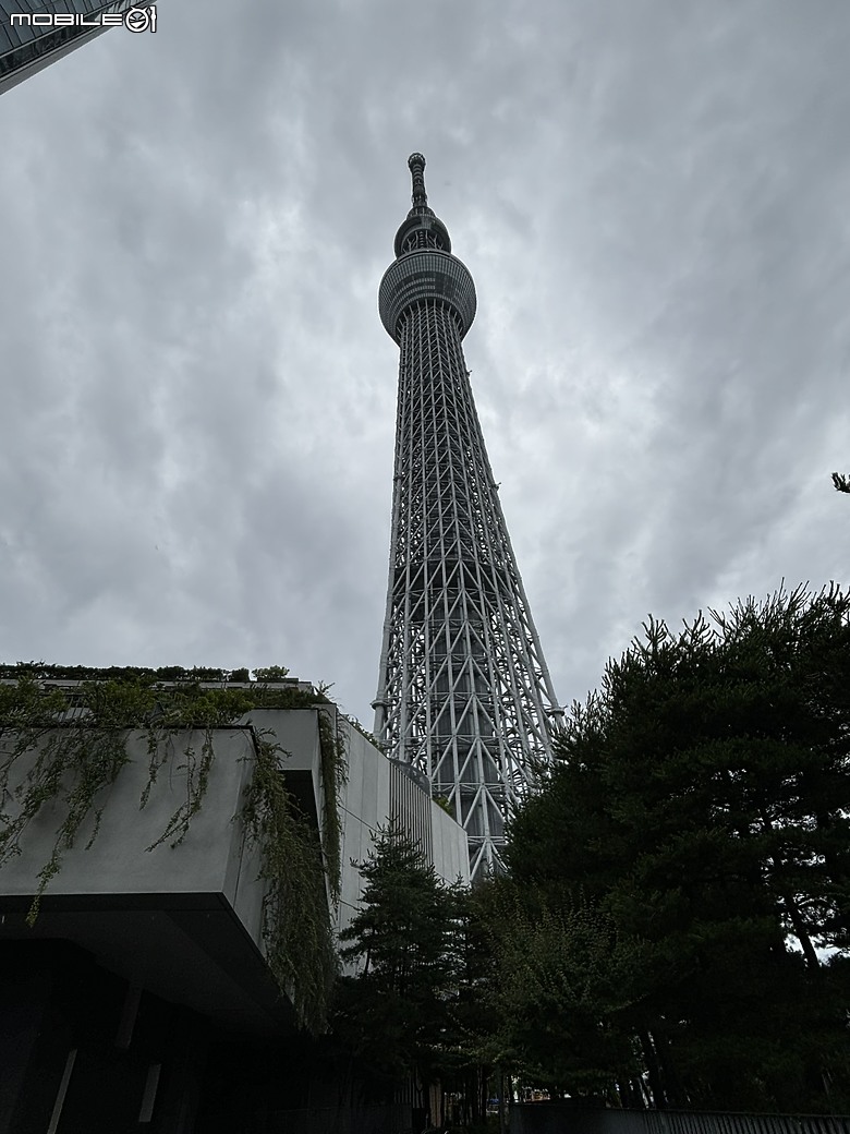 點我看大圖 東京之旅|東京晴空塔下的神祕的海洋奇妙冒險:墨田水族館一遊