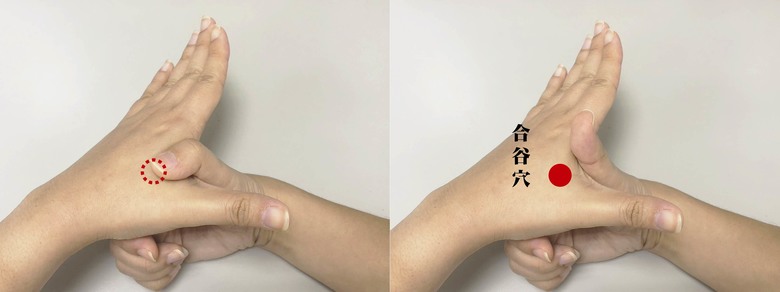 會議中突然腸胃不適 醫師教一招自助助人