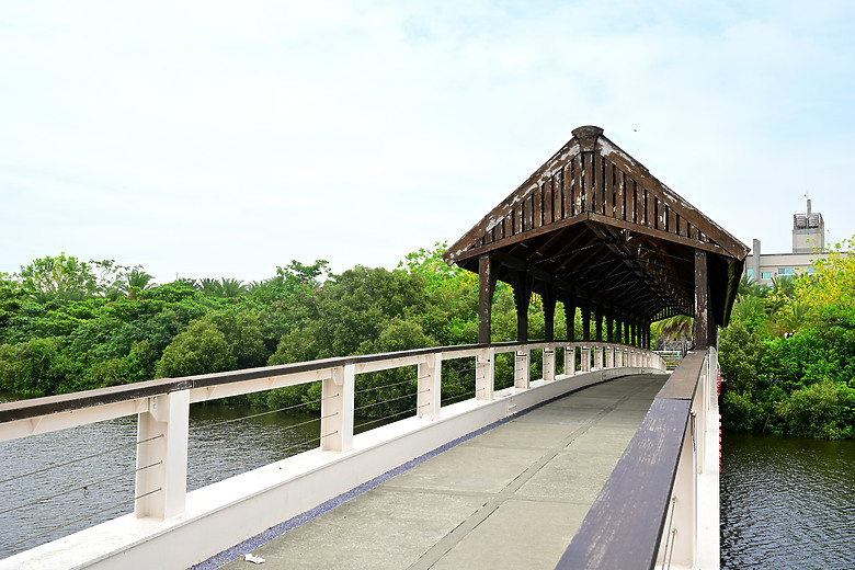 Z9+663梅雨季拍燕子，介紹落日灣、右岸濕地、鵬村濕地和鳥仔咖。加映Z6III拍燕子及崁頂生態公園。