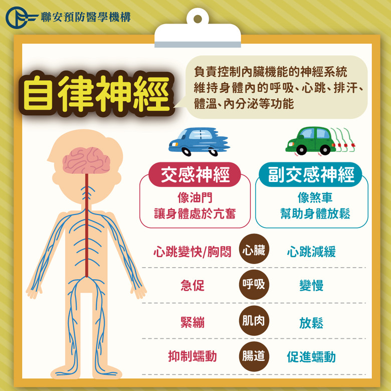 身體小毛病都是壓力引起!兩大檢測有助及早揪出