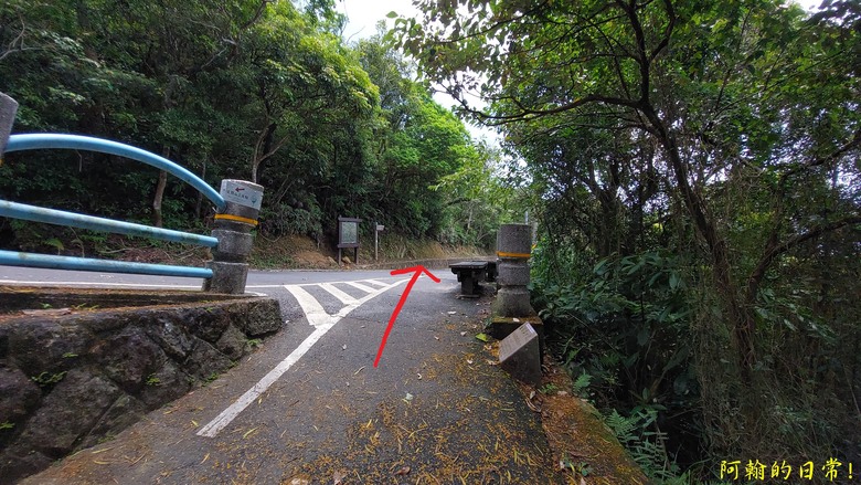 [2024 台北大縱走第五段] 捷運劍潭站 → 碧山巖｜遇到不知死活的眼鏡蛇｜台北市區、山巒美景 盡收眼底