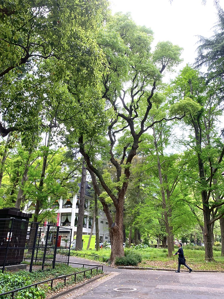 ＜日本＞2023東京放飛自我~日比谷公園、東京中城日比谷東京彼女展覽