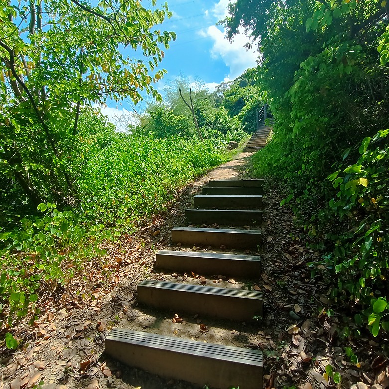 豐原公老坪蜈蚣崎登山步道，舒適遼闊低難度的登山步道