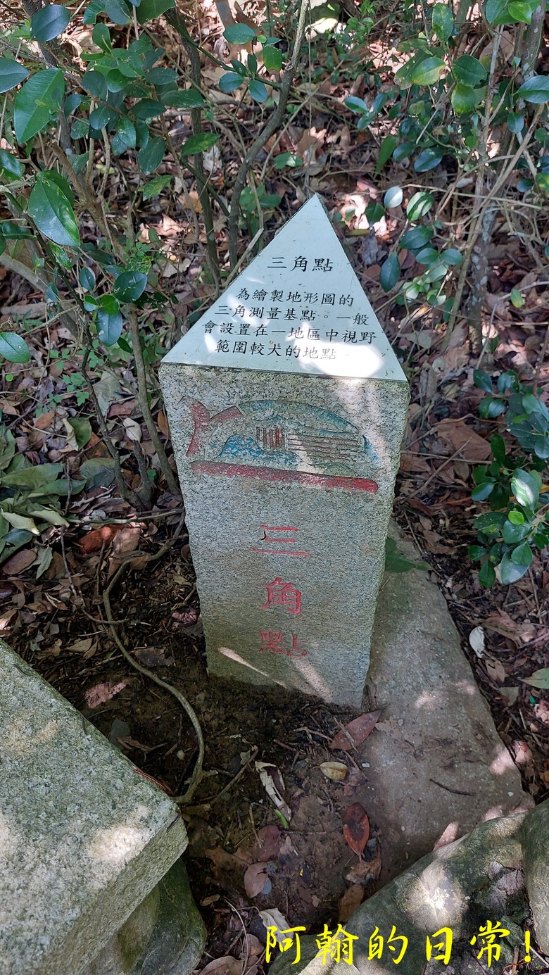 [2024 台北大縱走第五段] 捷運劍潭站 → 碧山巖｜遇到不知死活的眼鏡蛇｜台北市區、山巒美景 盡收眼底
