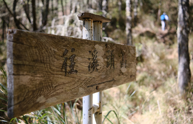 【南橫溪頭山】媲美南橫三星百岳的一座巨岩高山
