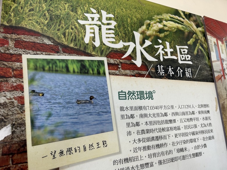 【小惡魔畫蛇添福】騎遊恒春龍水社區生態旅遊(紅龜粿DIY、摸蜆體驗)