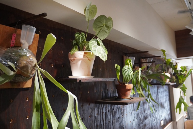 內湖 哈妮早樂子咖啡早午餐