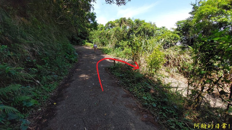 [2024 台北大縱走第五段] 捷運劍潭站 → 碧山巖｜遇到不知死活的眼鏡蛇｜台北市區、山巒美景 盡收眼底