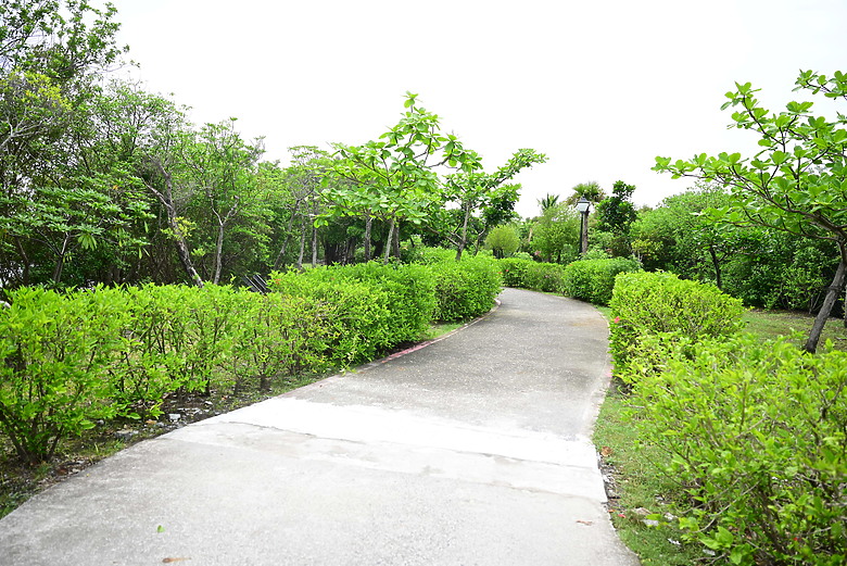 Z9+663梅雨季拍燕子，介紹落日灣、右岸濕地、鵬村濕地和鳥仔咖。加映Z6III拍燕子及崁頂生態公園。