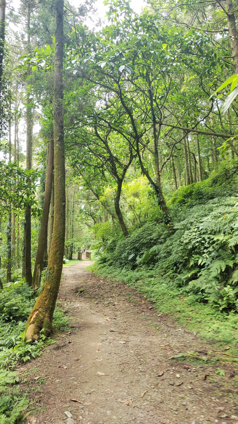宜蘭頭城 | 最高寺廟 | 海景第一排 | 太和宮金殿