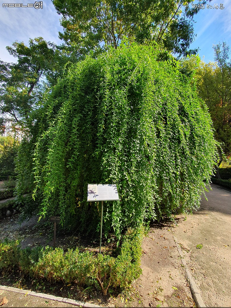 [大頭貓的海島] 漫遊馬德里(Spain: Madrid)
