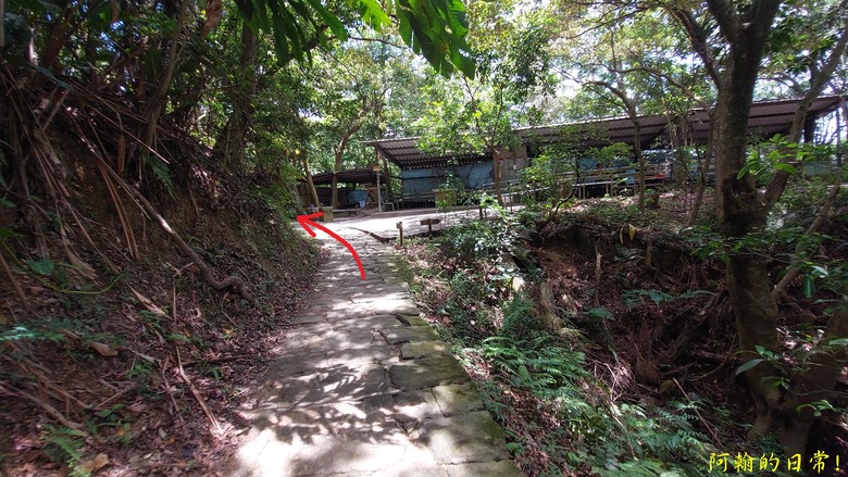 [2024 台北大縱走第五段] 捷運劍潭站 → 碧山巖｜遇到不知死活的眼鏡蛇｜台北市區、山巒美景 盡收眼底