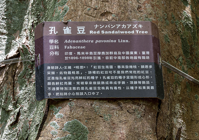 點我看大圖 美濃雙溪熱帶樹木園及黃蝶翠谷半日遊