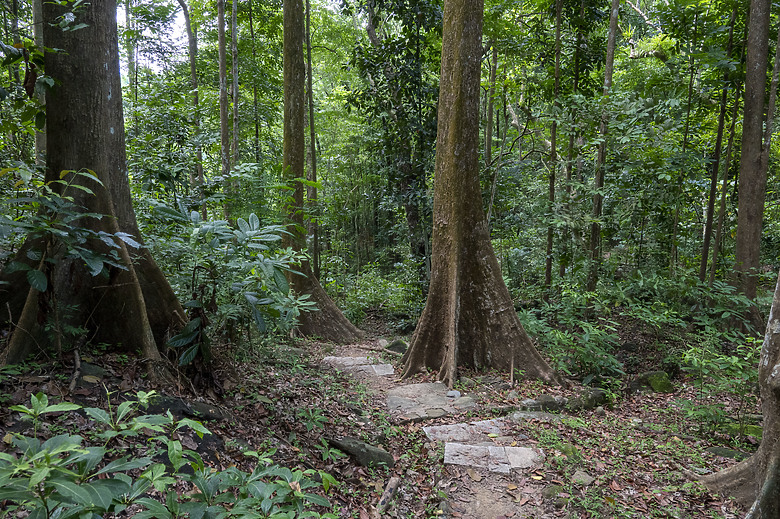 點我看大圖 美濃雙溪熱帶樹木園及黃蝶翠谷半日遊