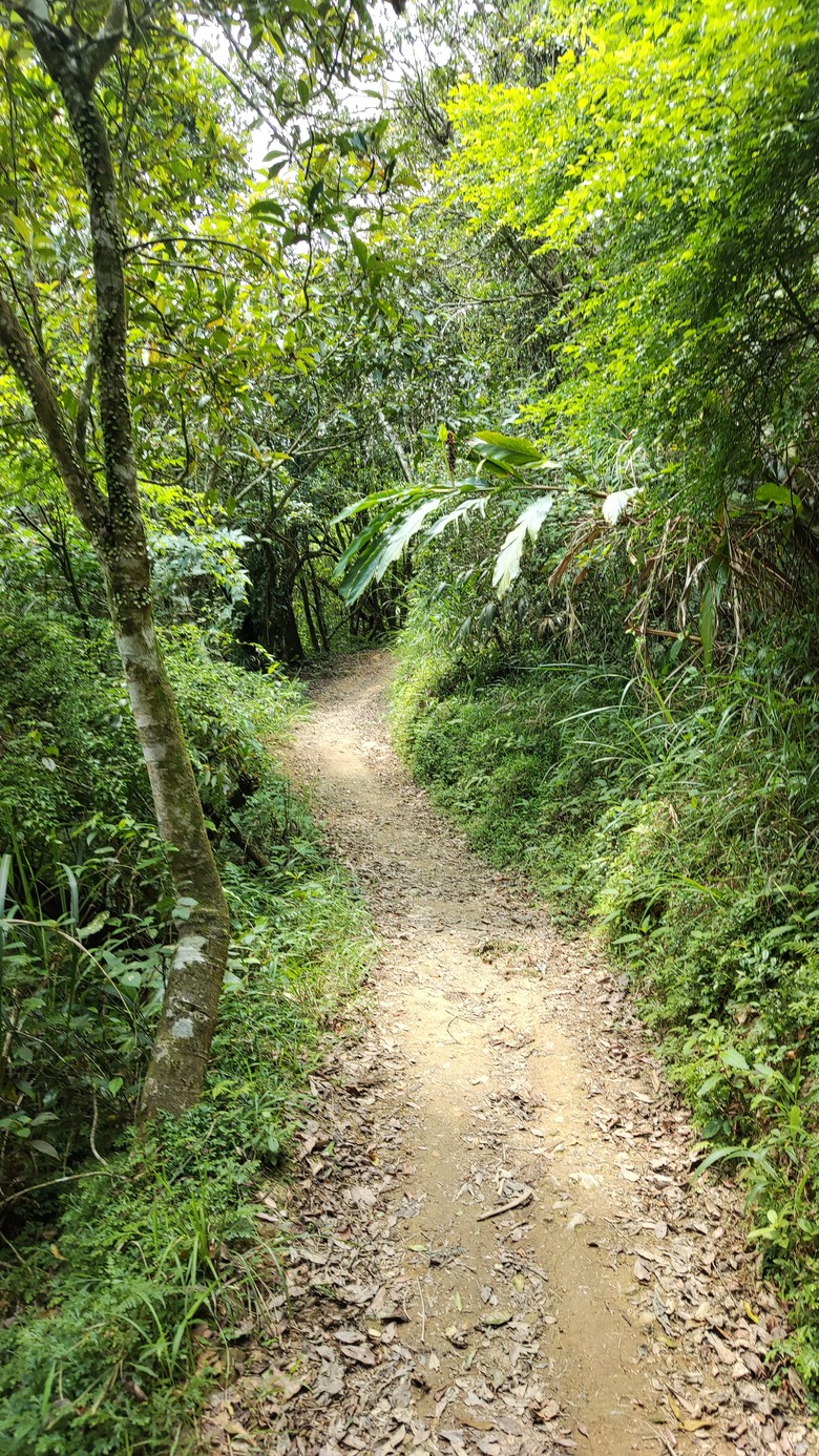 宜蘭頭城 | 最高寺廟 | 海景第一排 | 太和宮金殿