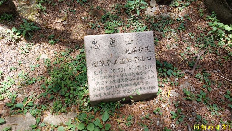 [2024 台北大縱走第五段] 捷運劍潭站 → 碧山巖｜遇到不知死活的眼鏡蛇｜台北市區、山巒美景 盡收眼底