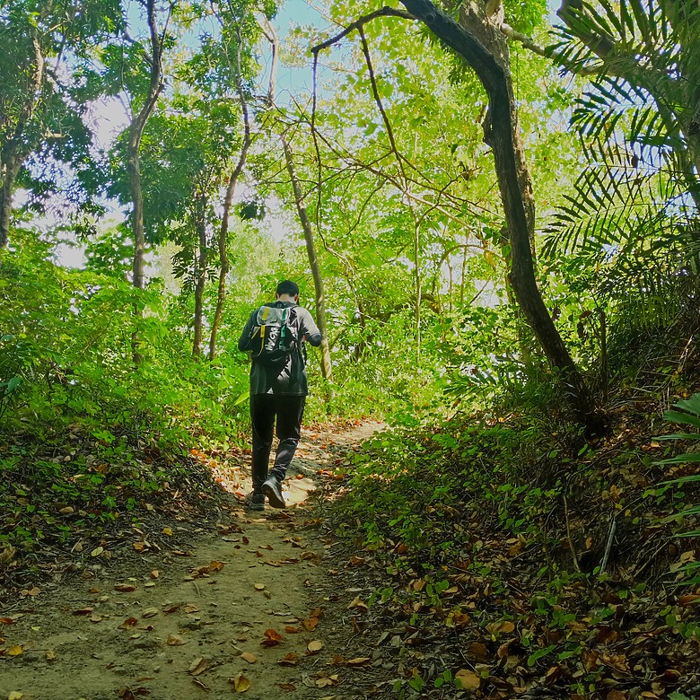 點我看大圖 豐原公老坪蜈蚣崎登山步道,舒適遼闊低難度的登山步道