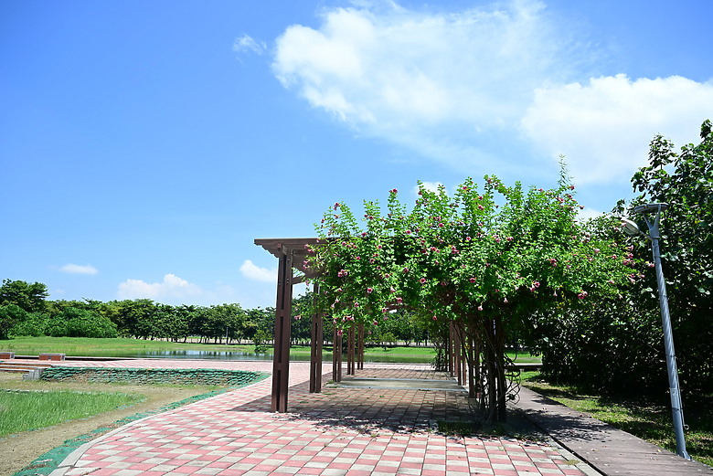 Z9+663梅雨季拍燕子，介紹落日灣、右岸濕地、鵬村濕地和鳥仔咖。加映Z6III拍燕子及崁頂生態公園。