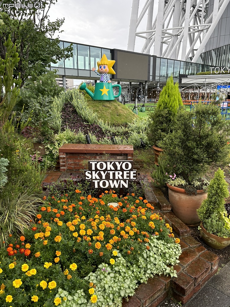 點我看大圖 東京之旅|東京晴空塔下的神祕的海洋奇妙冒險:墨田水族館一遊
