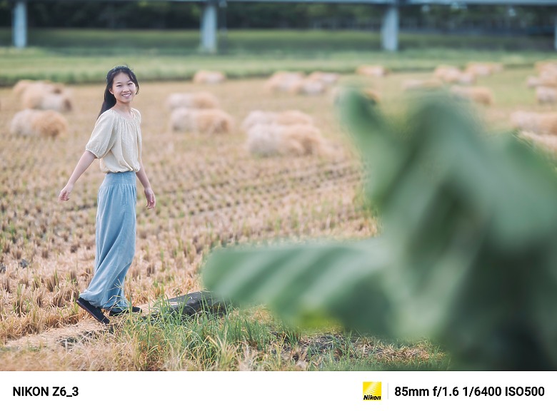 【Nikon Z6III】我的隨拍日記
