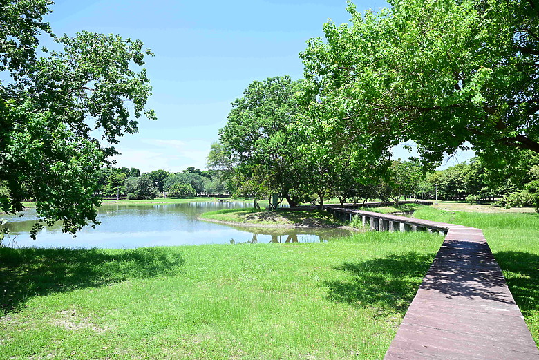 Z9+663梅雨季拍燕子，介紹落日灣、右岸濕地、鵬村濕地和鳥仔咖。加映Z6III拍燕子及崁頂生態公園。