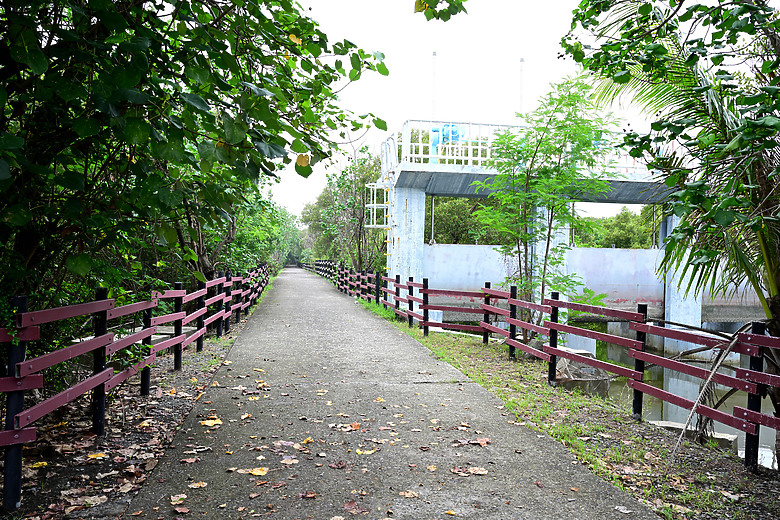 Z9+663梅雨季拍燕子，介紹落日灣、右岸濕地、鵬村濕地和鳥仔咖。加映Z6III拍燕子及崁頂生態公園。