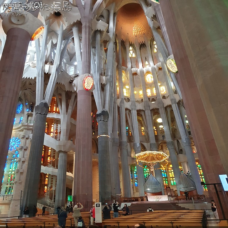[大頭貓的海島] 巴塞隆納 聖家堂 (Spain: Barcelona's Sagrada Familia)