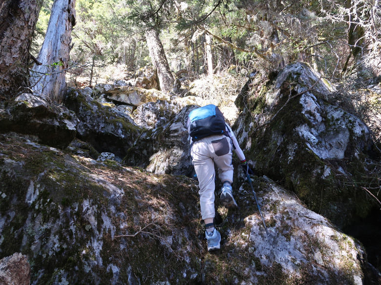 點我看大圖 【南橫溪頭山】媲美南橫三星百岳的一座巨岩高山