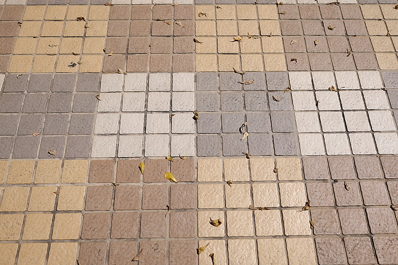 Canon RF 35mm f/1.4L VCM 評測報告｜攝錄一體、更輕更小更強大！