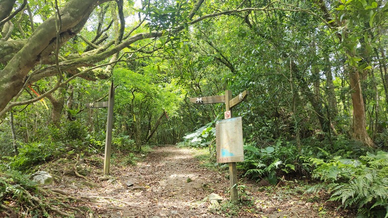 宜蘭頭城 | 最高寺廟 | 海景第一排 | 太和宮金殿