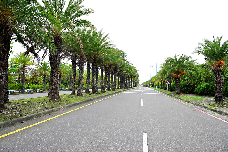 Z9+663梅雨季拍燕子，介紹落日灣、右岸濕地、鵬村濕地和鳥仔咖。加映Z6III拍燕子及崁頂生態公園。