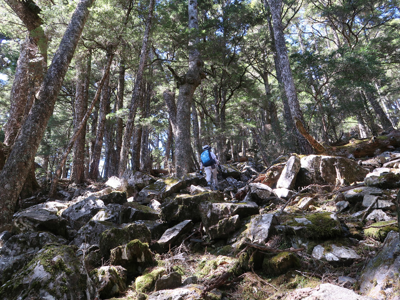 點我看大圖 【南橫溪頭山】媲美南橫三星百岳的一座巨岩高山