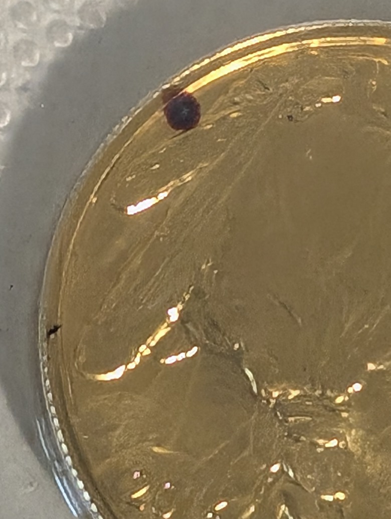 這金幣怎會有汙漬？