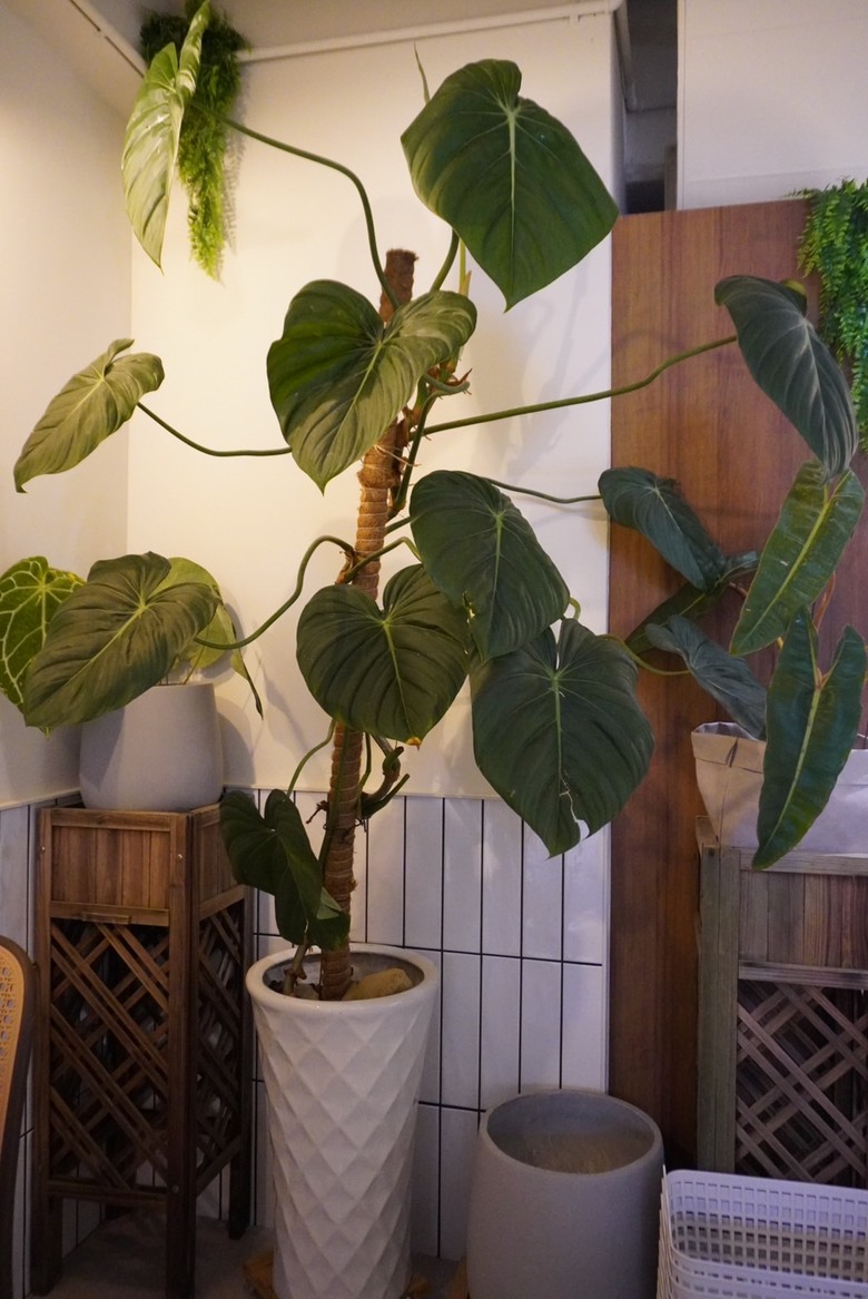 內湖 哈妮早樂子咖啡早午餐