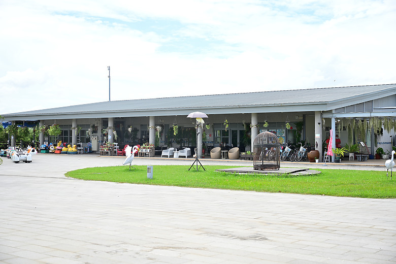 Z9+663梅雨季拍燕子，介紹落日灣、右岸濕地、鵬村濕地和鳥仔咖。加映Z6III拍燕子及崁頂生態公園。