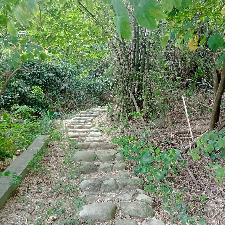 豐原公老坪蜈蚣崎登山步道，舒適遼闊低難度的登山步道