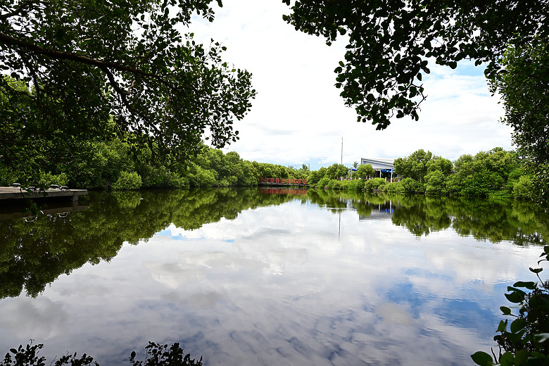 Z9+663梅雨季拍燕子，介紹落日灣、右岸濕地、鵬村濕地和鳥仔咖。加映Z6III拍燕子及崁頂生態公園。