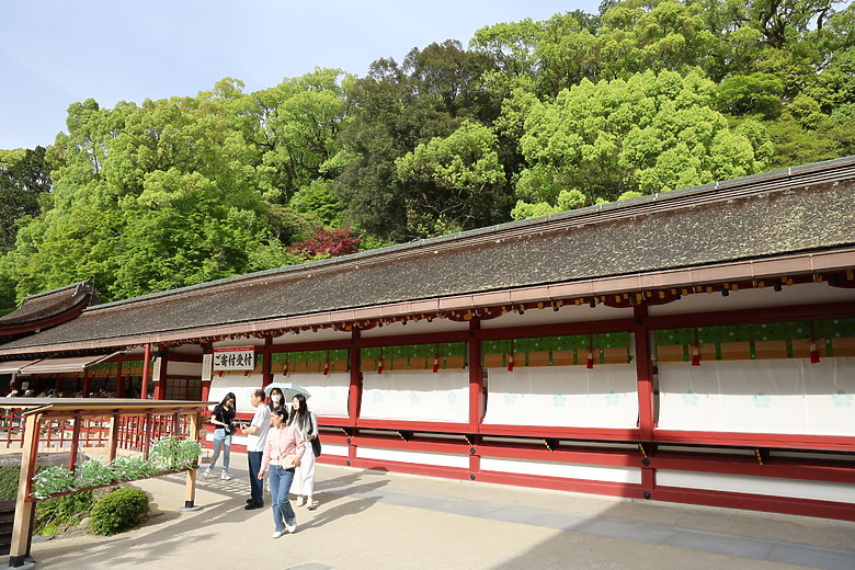 點我看大圖 北九州八天七夜自由行--福岡 /門司港 /由布院 /別府 /熊本 /柳川 /太宰府 /海之中道