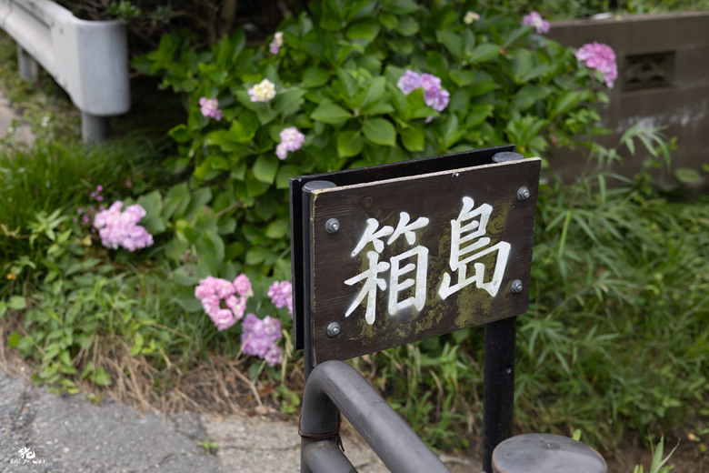 北九州自駕七日行 (福岡、由布院、長崎、佐賀)圖多