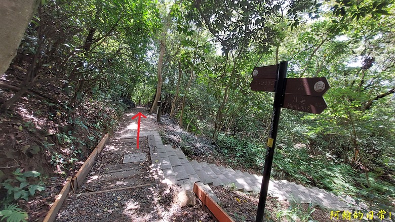 [2024 台北大縱走第五段] 捷運劍潭站 → 碧山巖｜遇到不知死活的眼鏡蛇｜台北市區、山巒美景 盡收眼底
